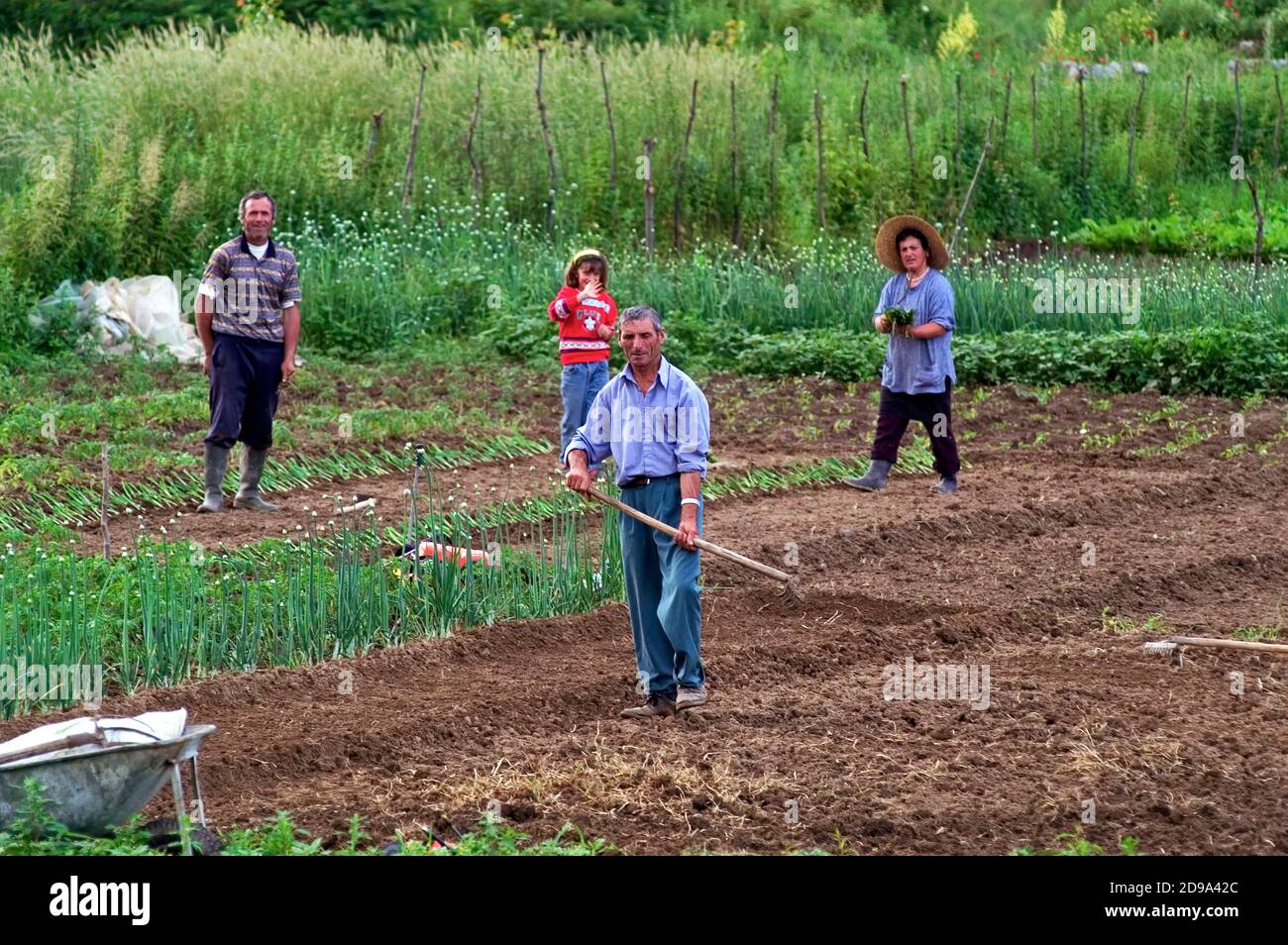 Peasant Labour High Resolution Stock Photography and Images Alamy