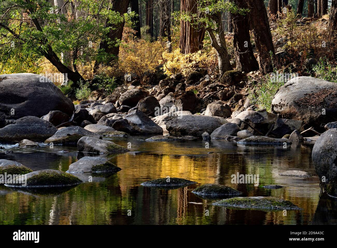 Fall tree and reflection hi-res stock photography and images - Alamy