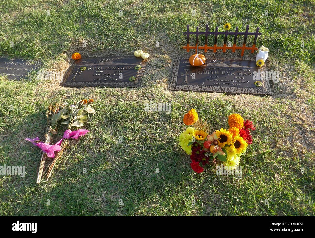 Los Angeles, California, USA 3rd November 2020 A general view of atmosphere of actress Judith Barsi's grave and her mother Maria Virovacz Barsi's Grave at Forest Lawn Hollywood Hills Memorial Park on November 3, 2020 in Los Angeles, California, USA. Photo by Barry King/Alamy Stock Photo Stock Photo
