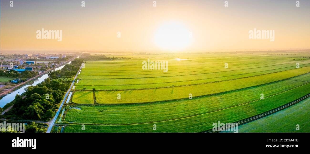 Sun Rising In Rice Field Sun rising over rice paddy field hi-res stock photography and images ...