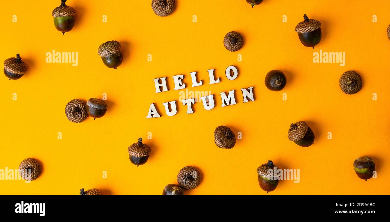 Inscription HELLO AUTUMN text Pattern with acorns on the yellow ...