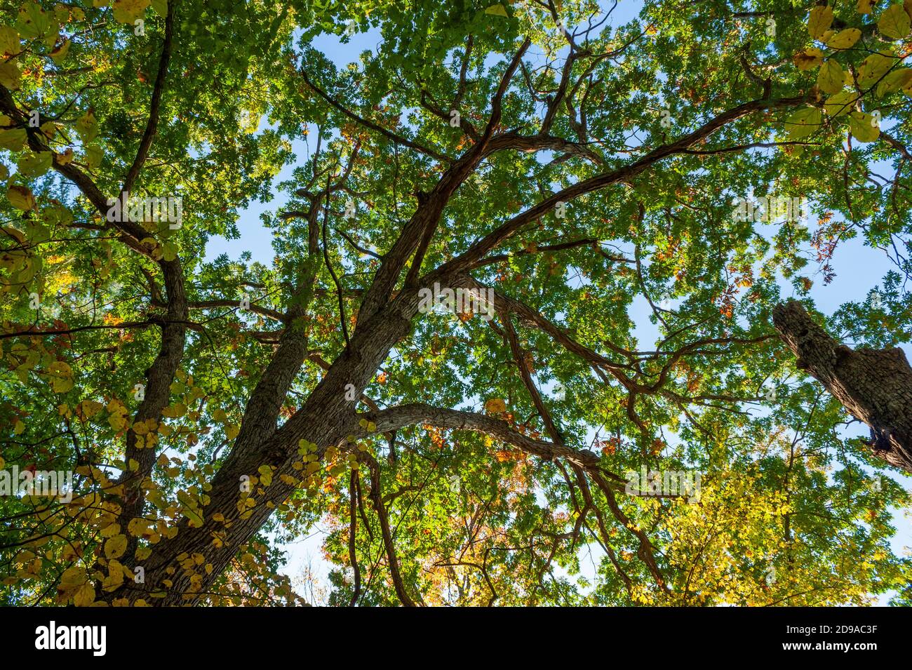 Shattuck reservation hires stock photography and images Alamy