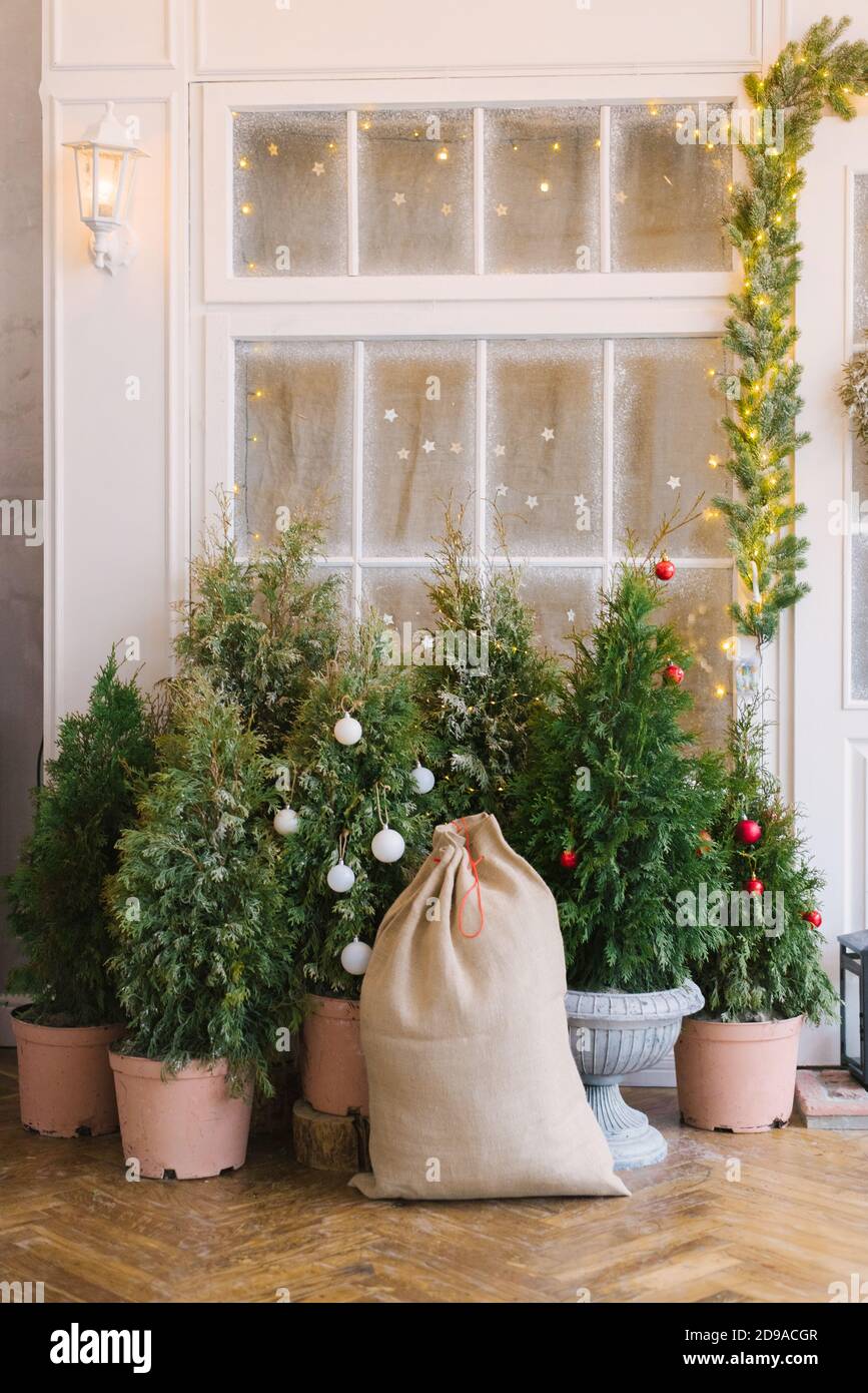 Christmas trees in pots near the house and a bag of Santa Claus with