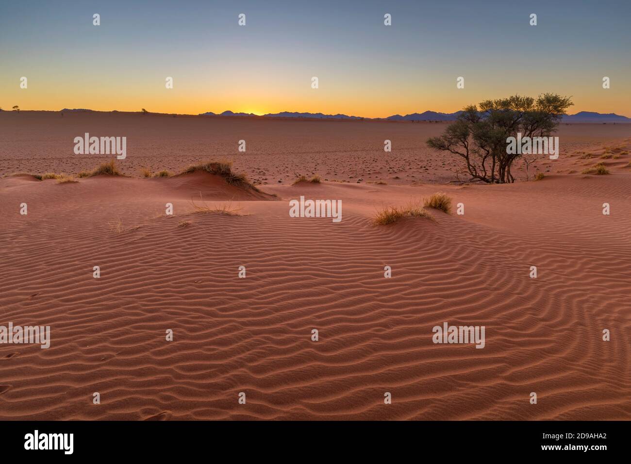 On the dune after sunset Stock Photo - Alamy