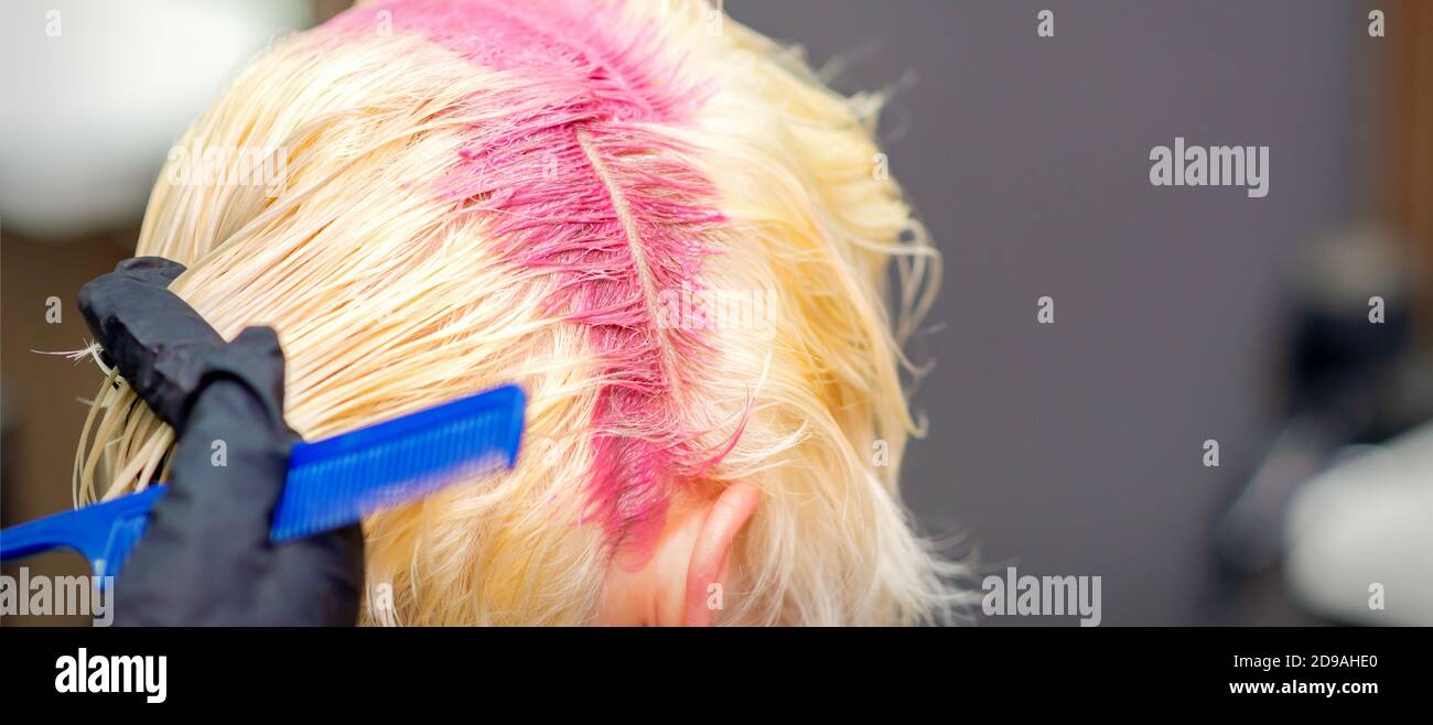 Hair coloring in pink color on hair roots of young blonde woman in hair  salon. Selective focus Stock Photo - Alamy