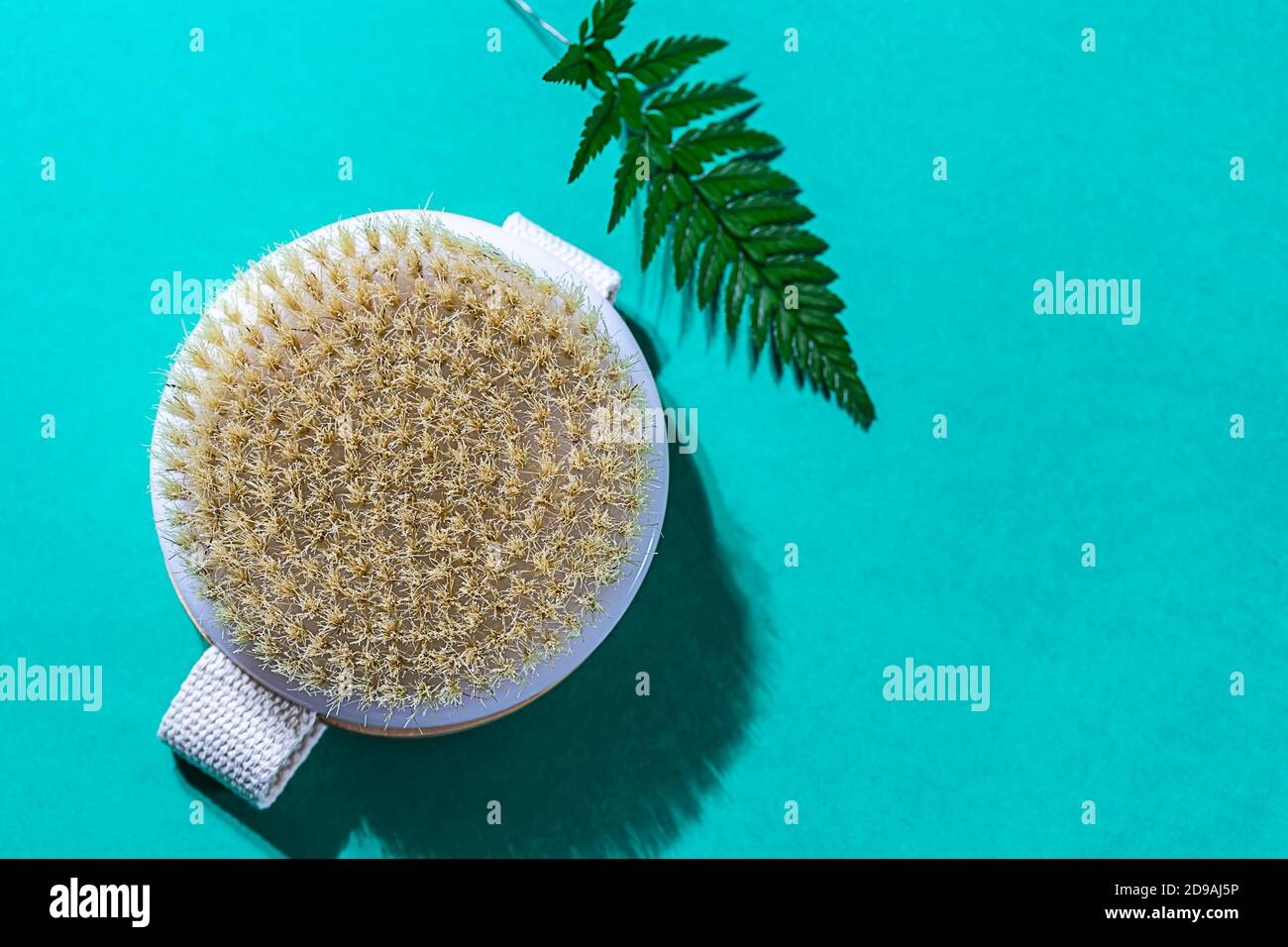 Natural organic wooden body massage brush, towel, fern leaves with natural sunlight. Home Spa Therapy. Stock Photo