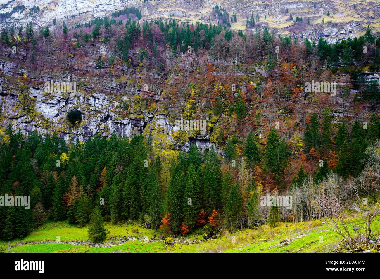 Beautiful landscape around Seealpsee lake in the Alpstein range of the canton of Appenzell Innerrhoden, Switzerland. Stock Photo