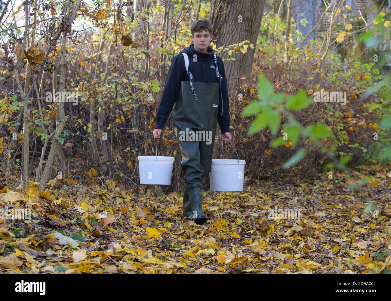 04 November 2020, Brandenburg, Uckerland/Ot Wolfshagen: Jannis Renke, who works at the Institute for Inland Fisheries in Potsdam-Sacrow (IFB), who is completing a voluntary ecological year, brings two plastic buckets with young salmon about six to ten centimetres long to a barge. The boat then headed towards Klein Linde a few kilometres away, where the fish were released in the Stepenitz. In total, around 50,000 six-month-old salmon bred in Denmark for Brandenburg were released in the river's catchment area. The fish are released in autumn to get used to the water, feed on small crabs and inse Stock Photo