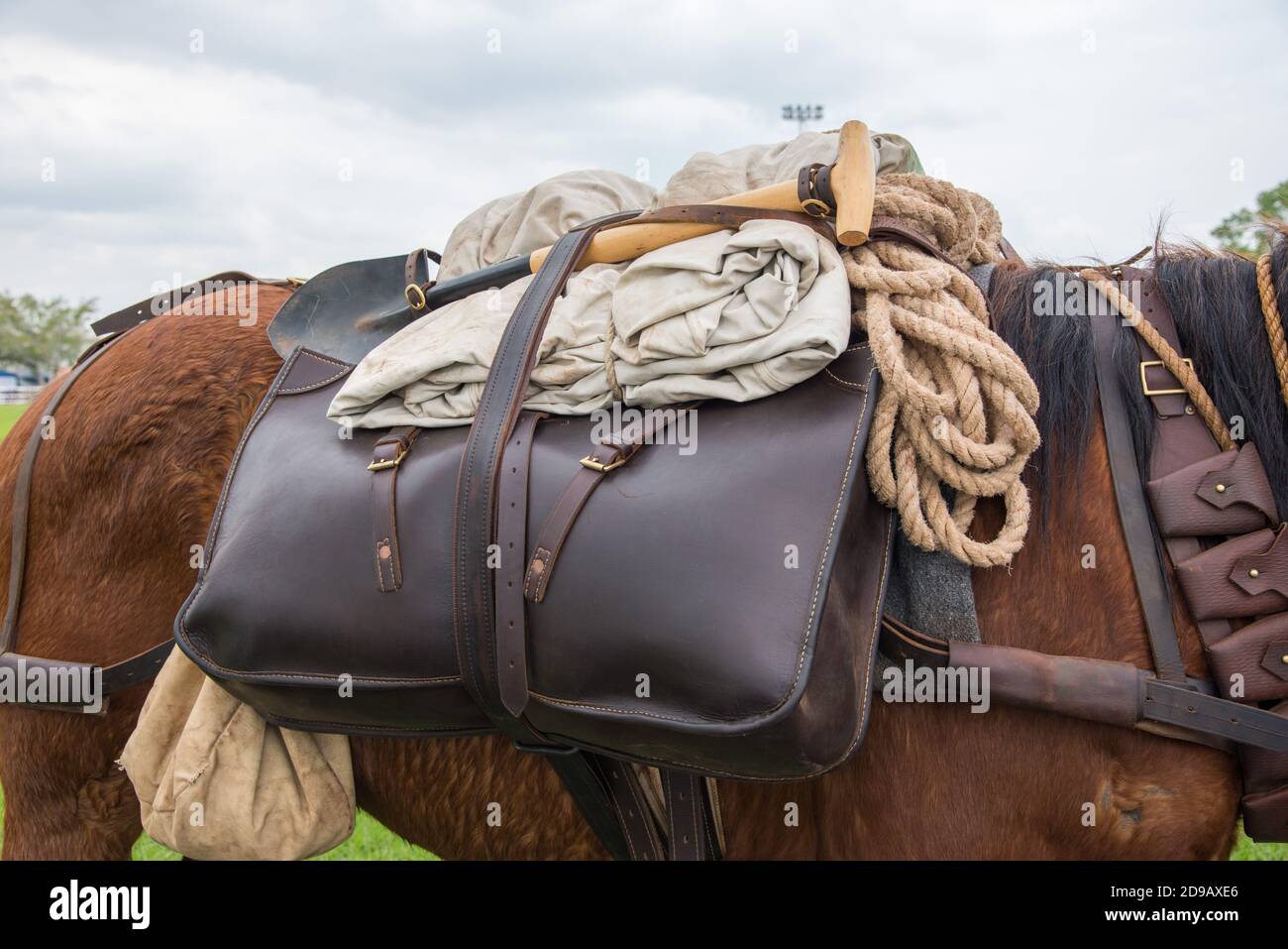 Horse bags australia hotsell