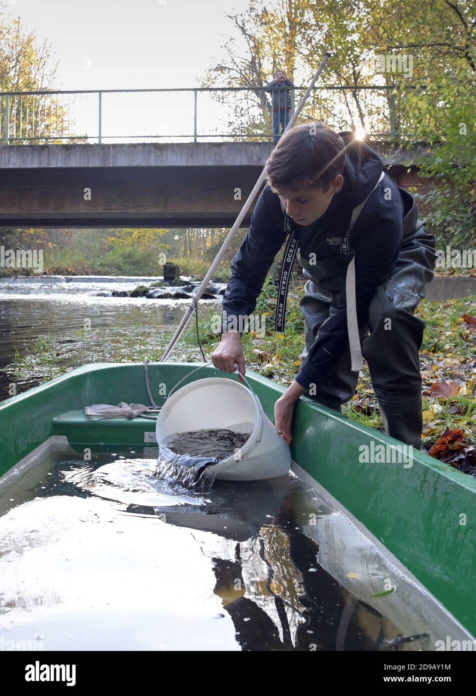 04 November 2020, Brandenburg, Uckerland/Ot Wolfshagen: Jannis Renke, who works at the Institute for Inland Fisheries in Potsdam-Sacrow (IFB), who is completing a voluntary ecological year, places young salmon of about six to ten centimetres in length from a plastic bucket into a barge. The boat then headed towards Klein Linde, where the fish were released in the Stepenitz. In total, around 50,000 six-month-old salmon bred in Denmark for Brandenburg were released in the river's catchment area. The fish are released in autumn to get used to the water, feed here on small crabs and insect larvae, Stock Photo