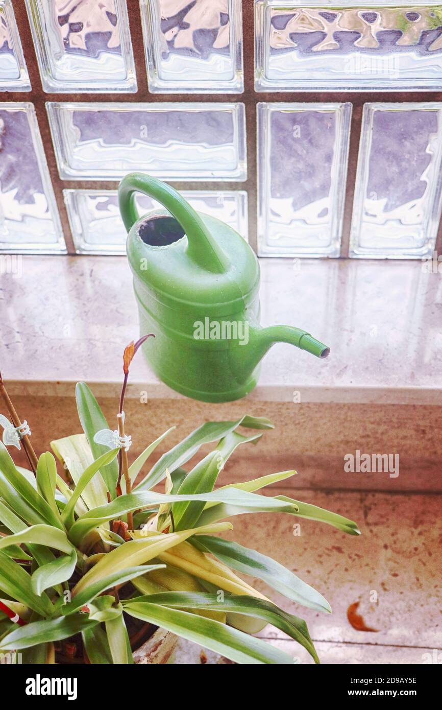 gardening at home: watering can and potted plant near a glass panel window Stock Photo