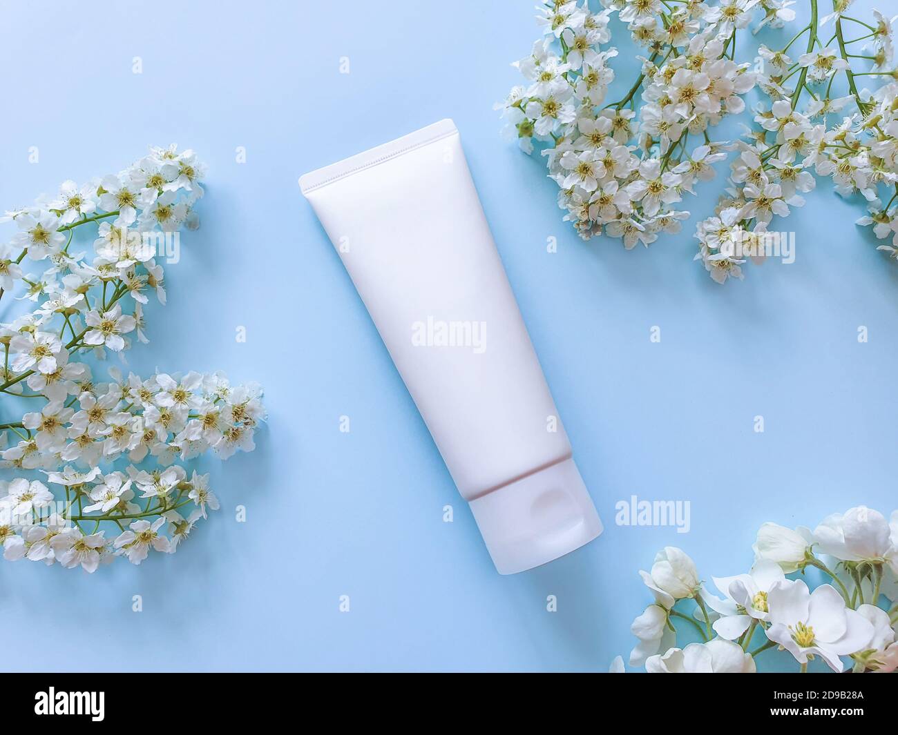 Download Top View Of Mockup Of White Squeeze Bottle Plastic Tube Blue Background And Small White Flowers White Glossy Plastic Tube For Medicine Or Cosmetics Stock Photo Alamy
