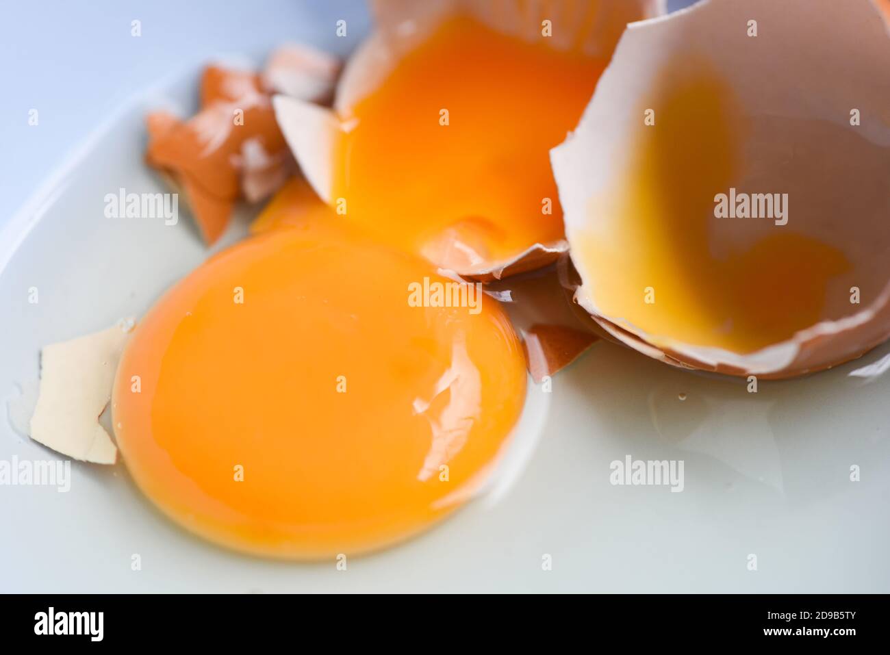 broken egg yolk on bowl, Fresh chicken eggs Stock Photo