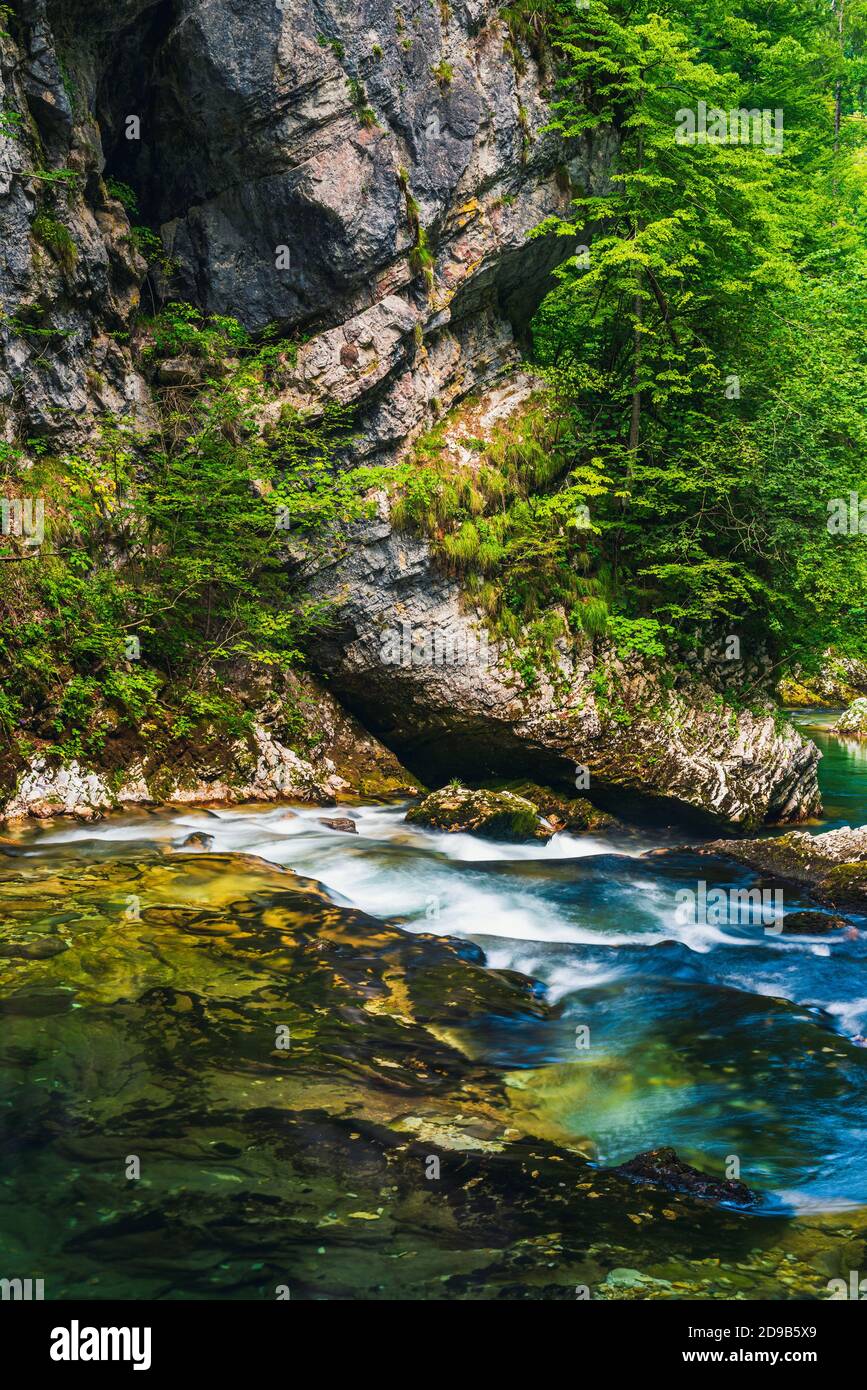Radovna River in Vintgar Gorge in Slovenia in Europe Stock Photo