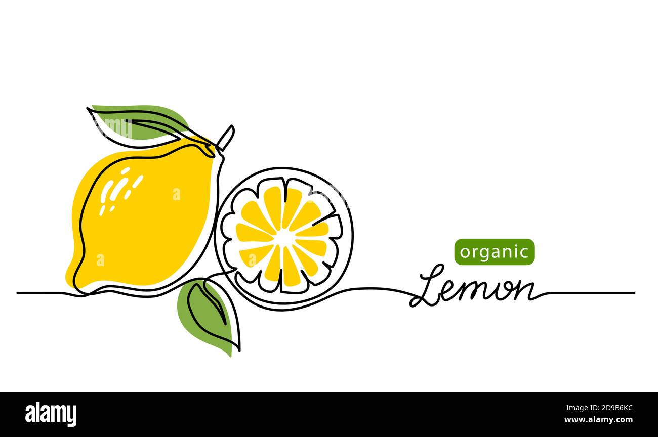 Lemon vector illustration. One continuous line drawing art illustration with lettering organic lemon Stock Vector