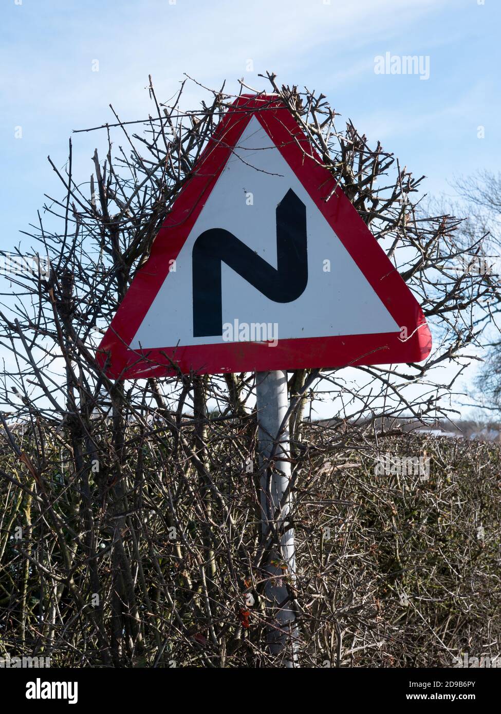 A Double Bend Sign Is Slowly Merging With A Hedge Stock Photo Alamy