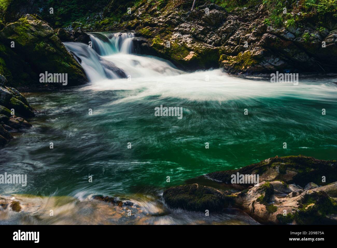 Radovna River in Vintgar Gorge in Slovenia in Europe Stock Photo