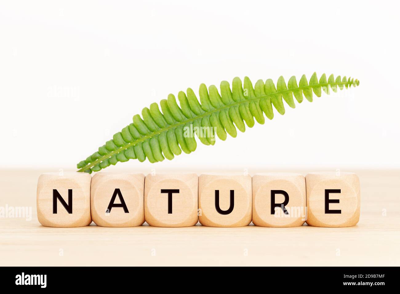 Nature concept. Wooden blocks with text and green leaf on table. Copy space Stock Photo