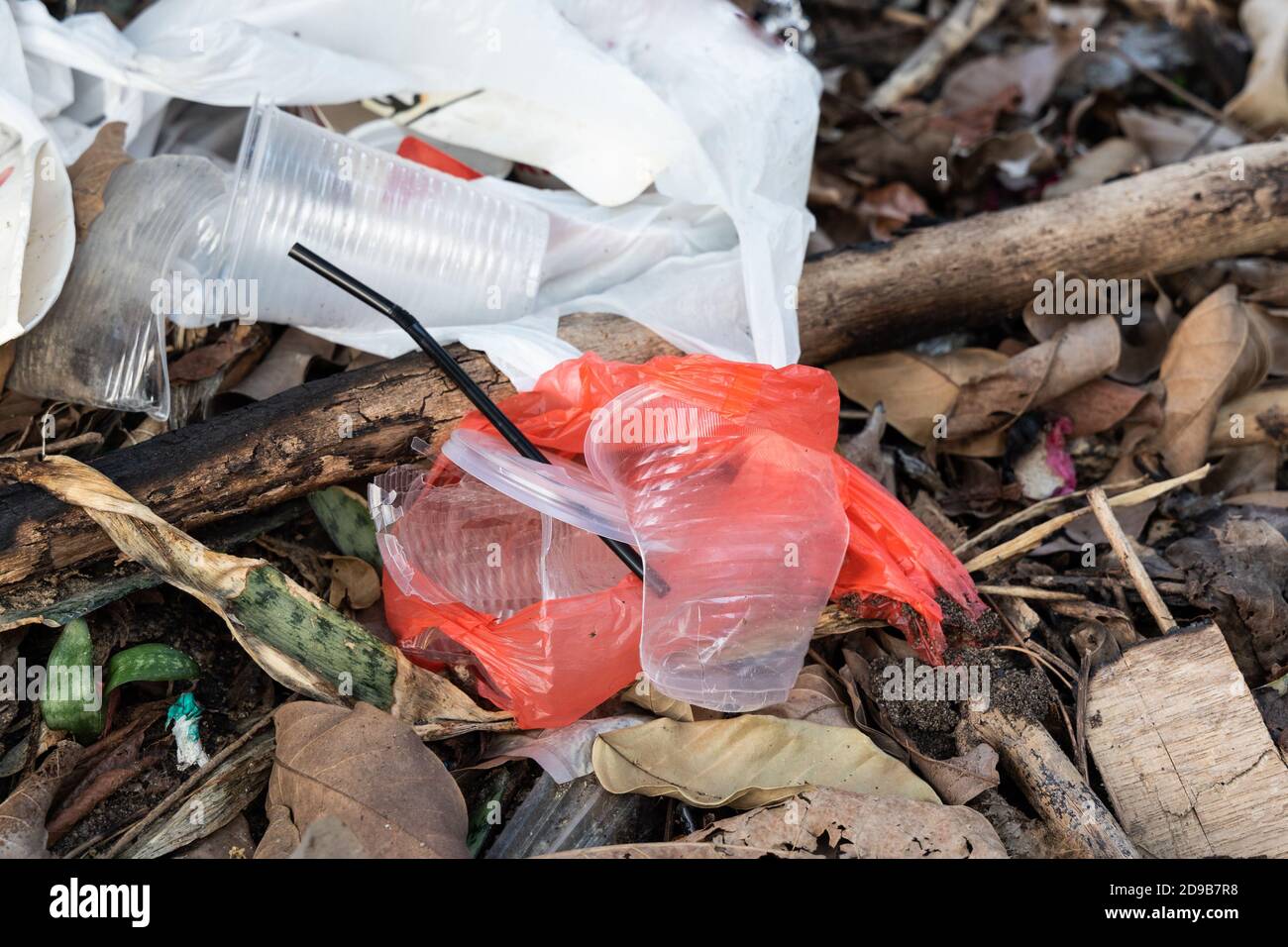 Indiscriminate litter of plastic nonbiodegradable at garbage dump
