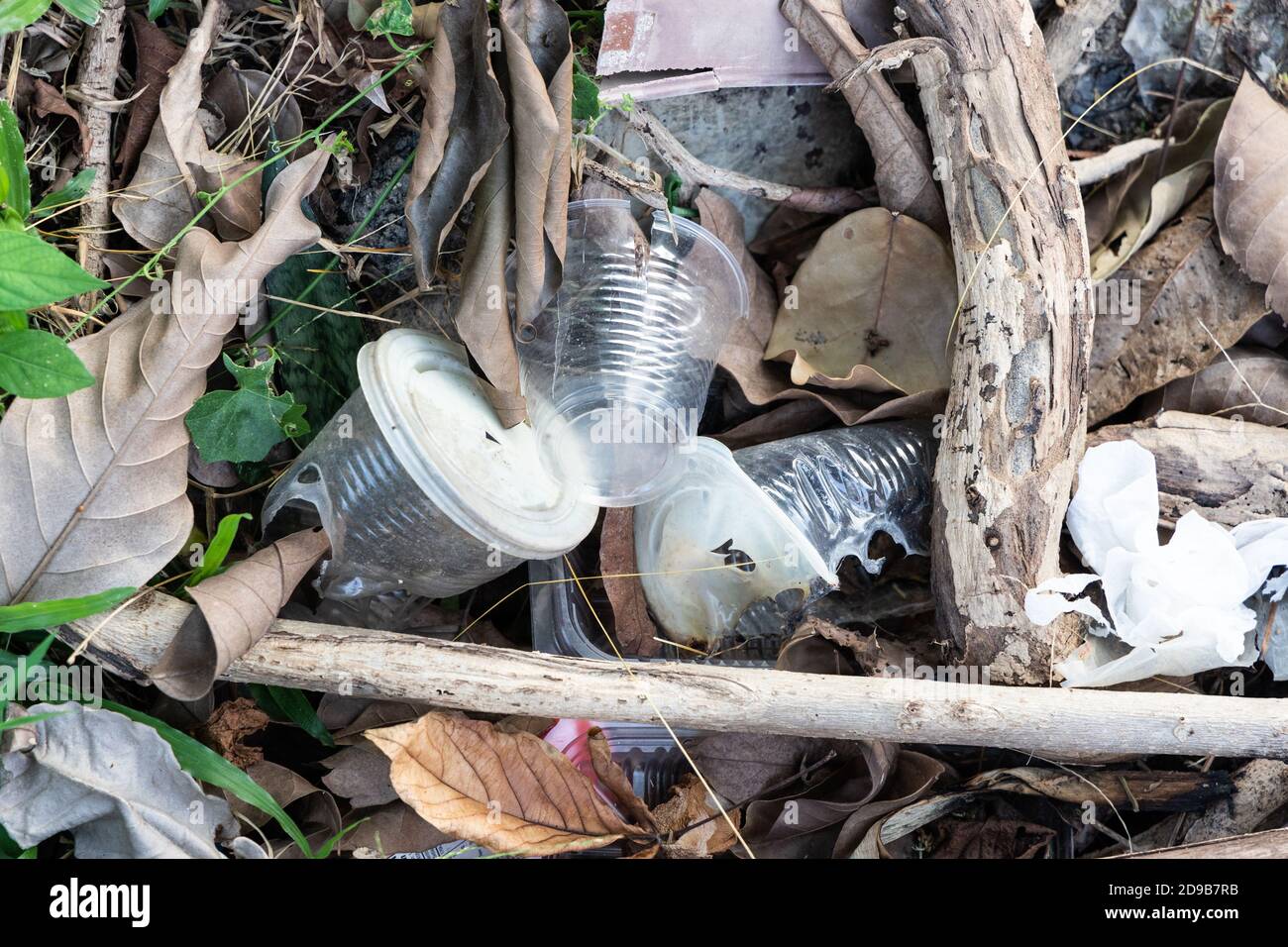 Indiscriminate litter of plastic nonbiodegradable at garbage dump