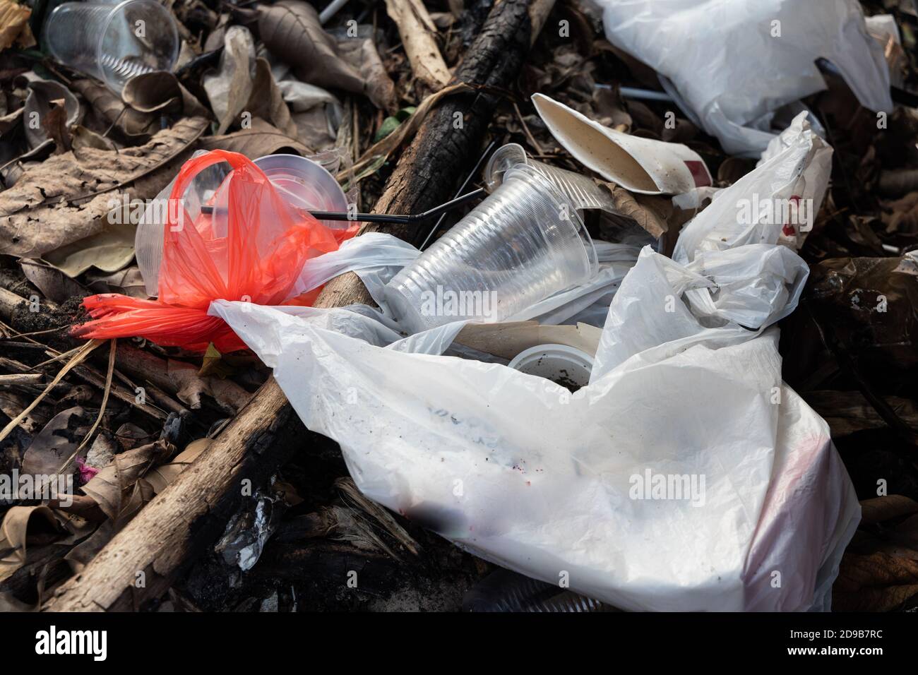 Indiscriminate litter of plastic nonbiodegradable at garbage dump