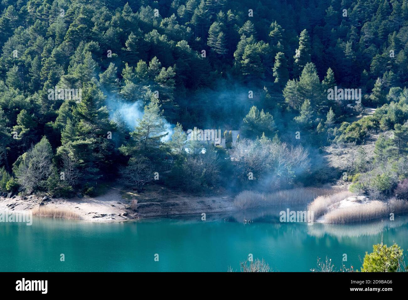 The forest in smokes Stock Photo - Alamy