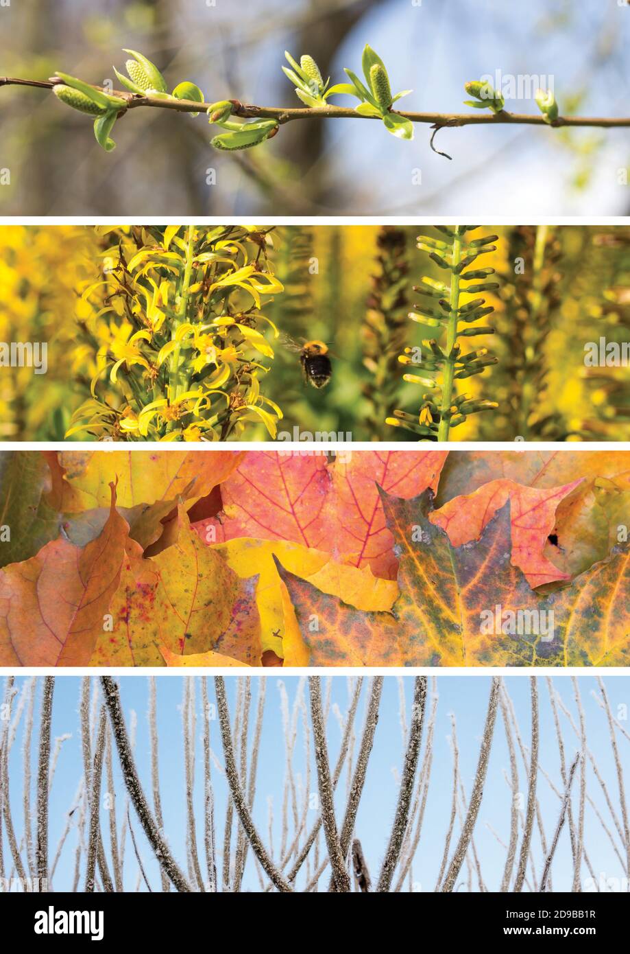 Collage of scenes of the four seasons: spring, summer, fall, winter ...