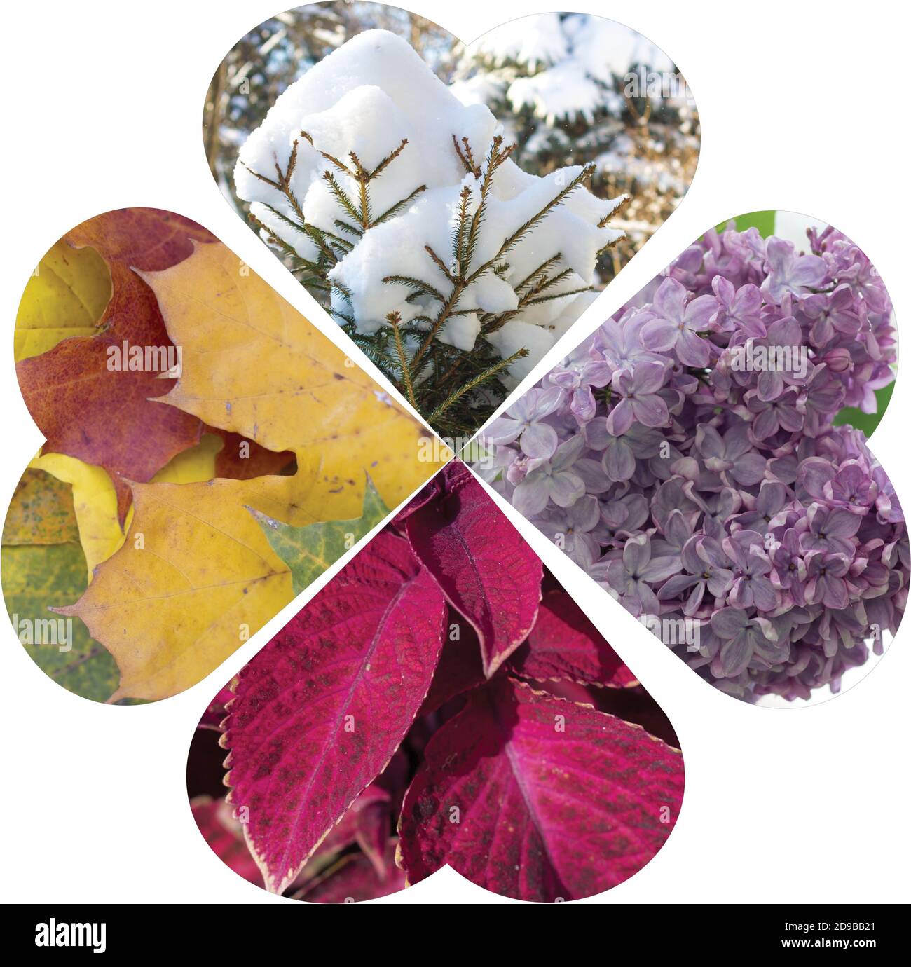 4 seasons collage hi-res stock photography and images - Alamy