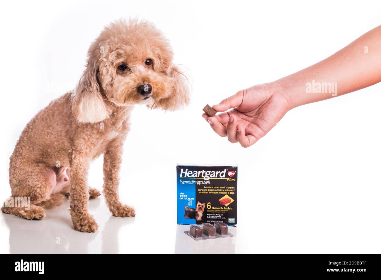 Heartgard is preventive heartworms chewables for dogs marketed by