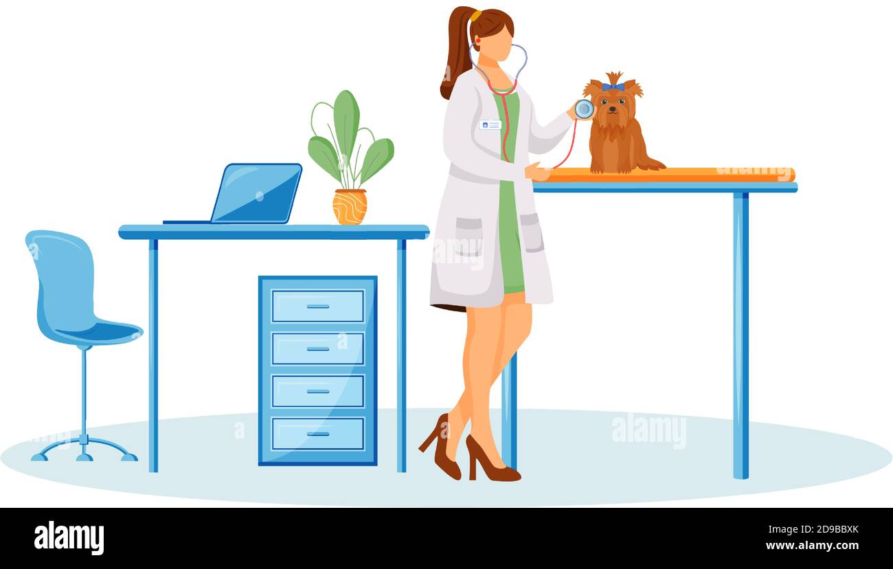 Vet doctor flat color vector faceless character Stock Vector