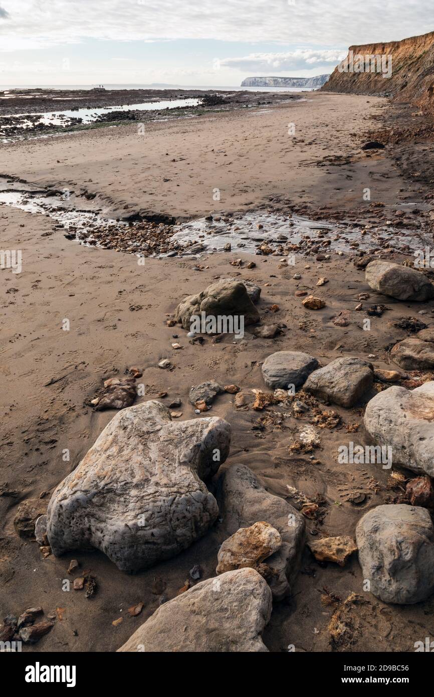 Fossilised dinosaur footprint at Compton Bay, Isle of Wight Stock Photo