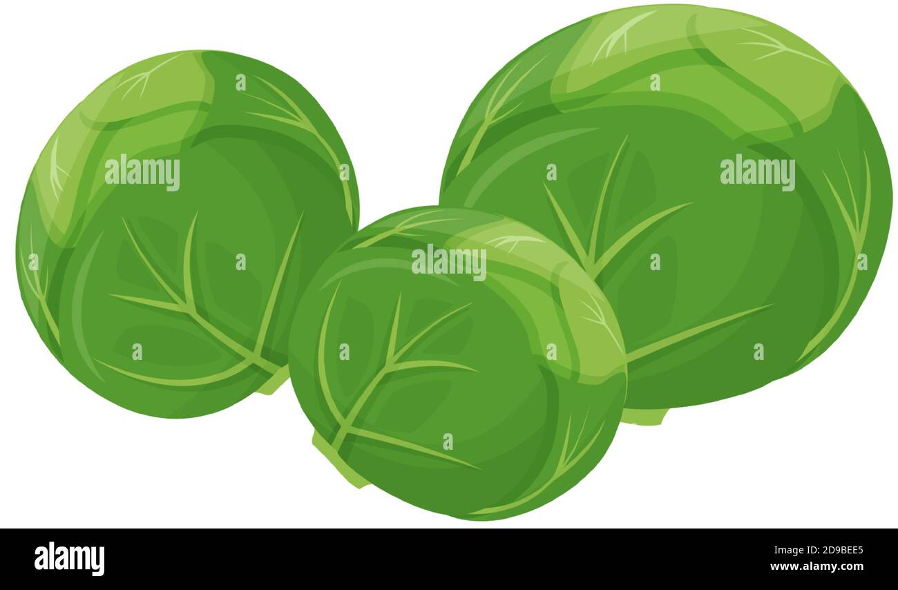 Brussels sprouts cartoon vector illustration Stock Vector