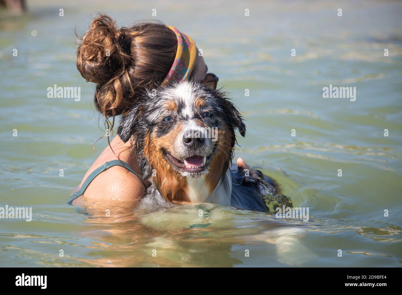 Woman swimming in ocean with an Australian shepherd dog, Florida, USA Stock Photo