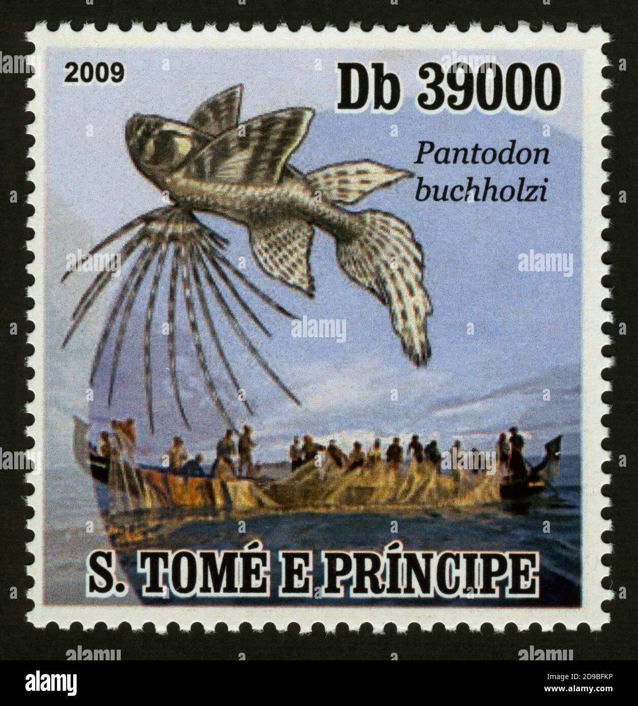 Stamp print in S.Tome and Principe, 2009, Pantodon buchholzi Stock Photo