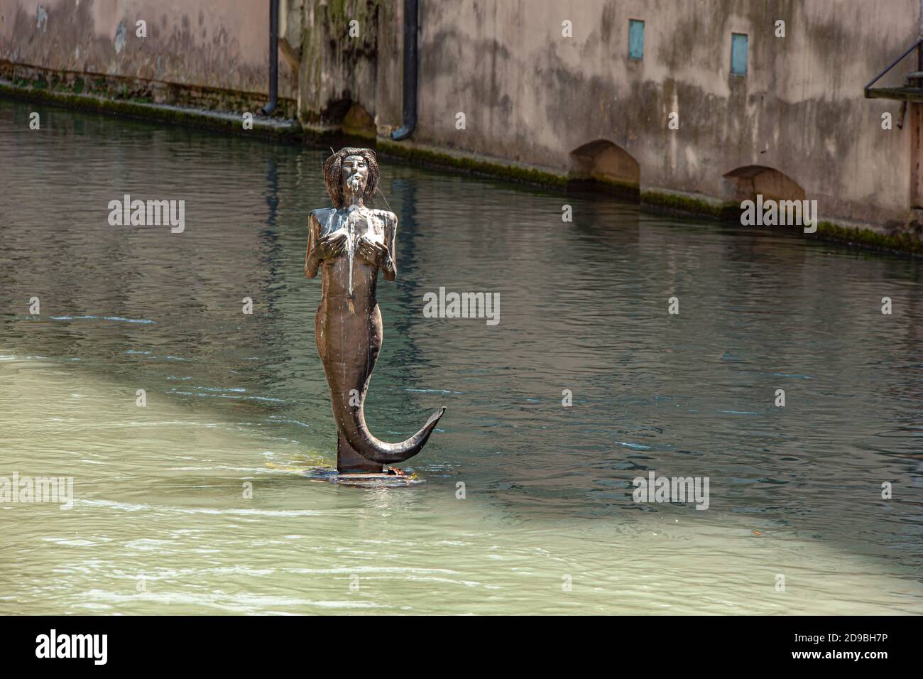 Mermaid statue in Treviso in Italy located in Pescheria Island Stock