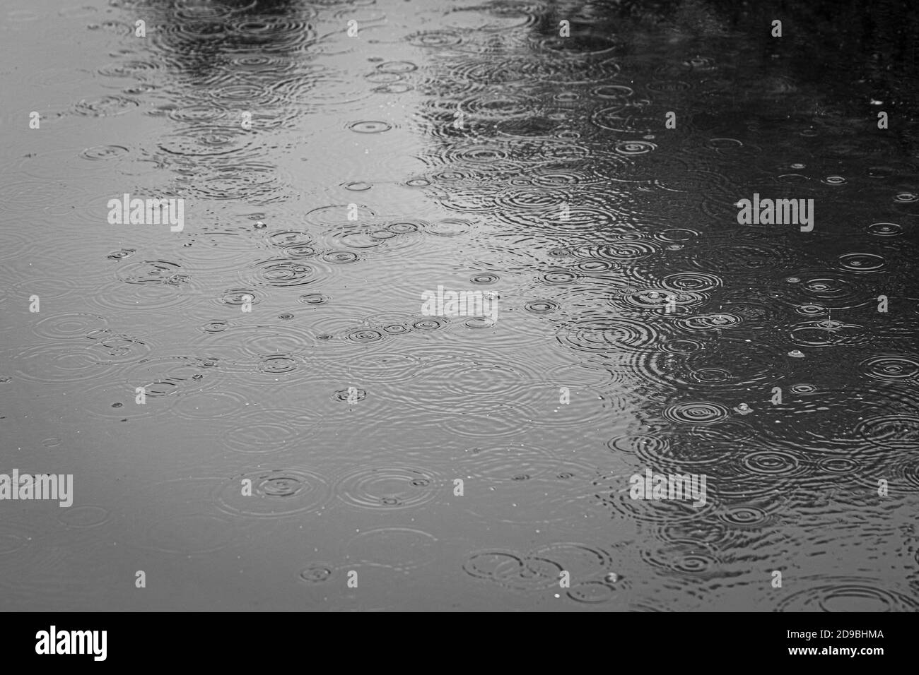 Raindrops falling on puddle Black and White Stock Photos & Images - Alamy