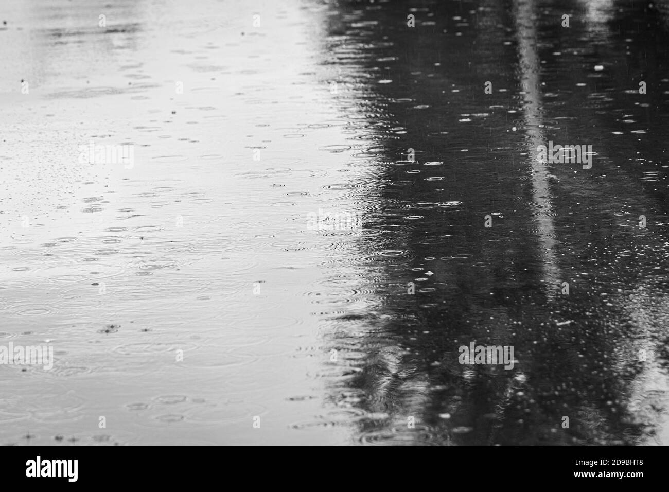 Raindrops falling on puddle Black and White Stock Photos & Images - Alamy