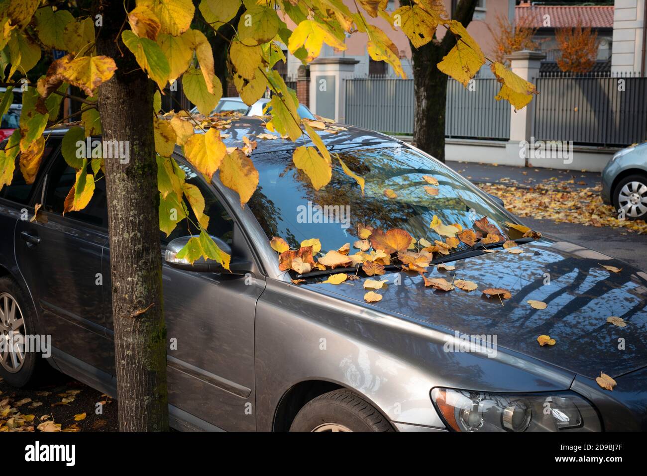 Italy, Lombardy, Car Strewn with Autumn Leaves Stock Photo