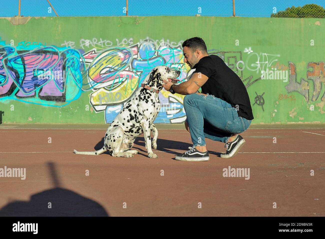 Man walking dog Stock Photo