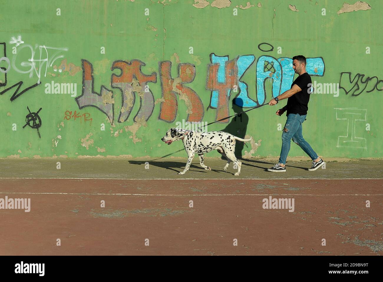 Man walking a dalmatian dog. Pets concept Stock Photo