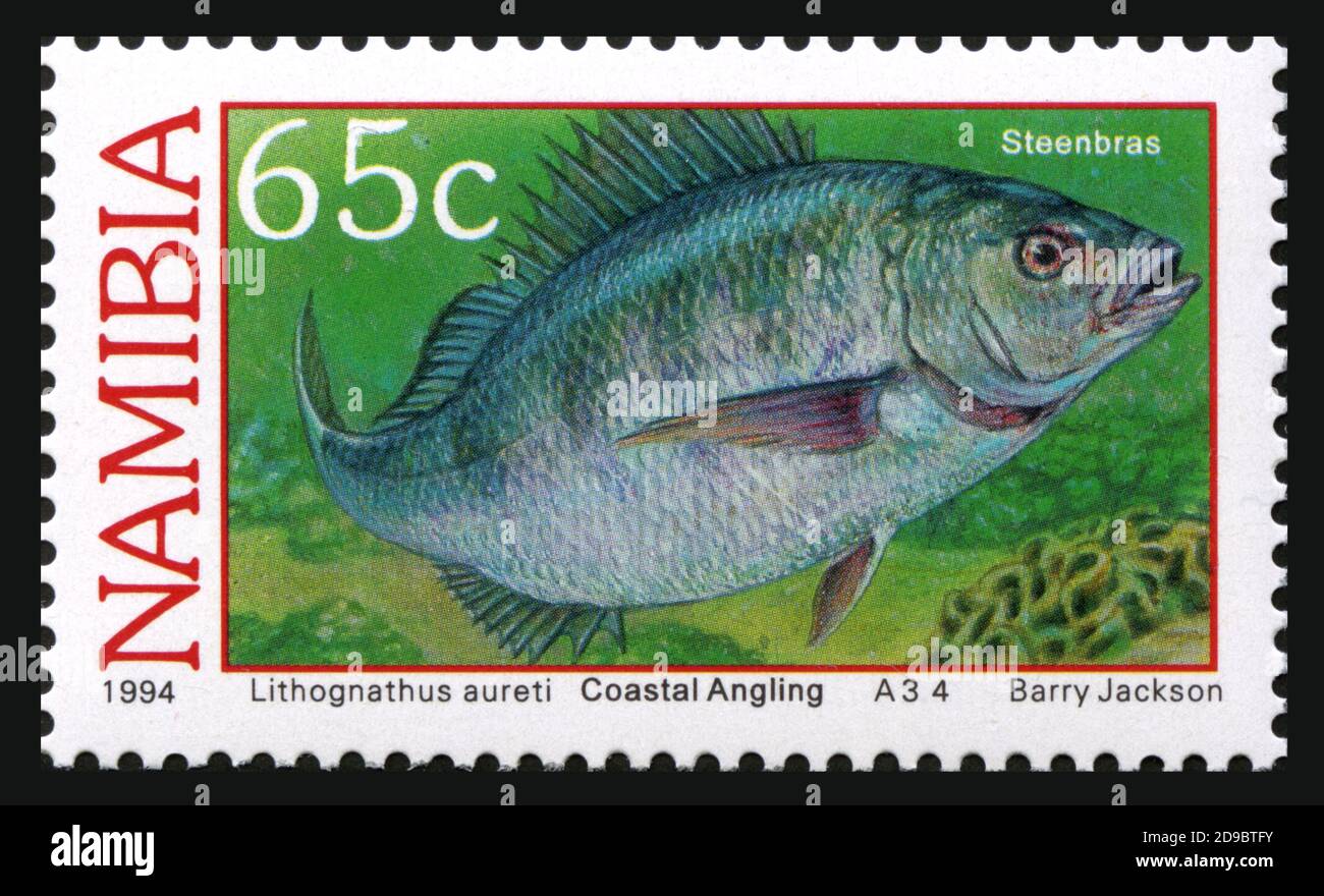 Щука хищная рыба. Рыба пас. Рыба пас. Берш зубы. Пангасиус аквариумная рыбка.