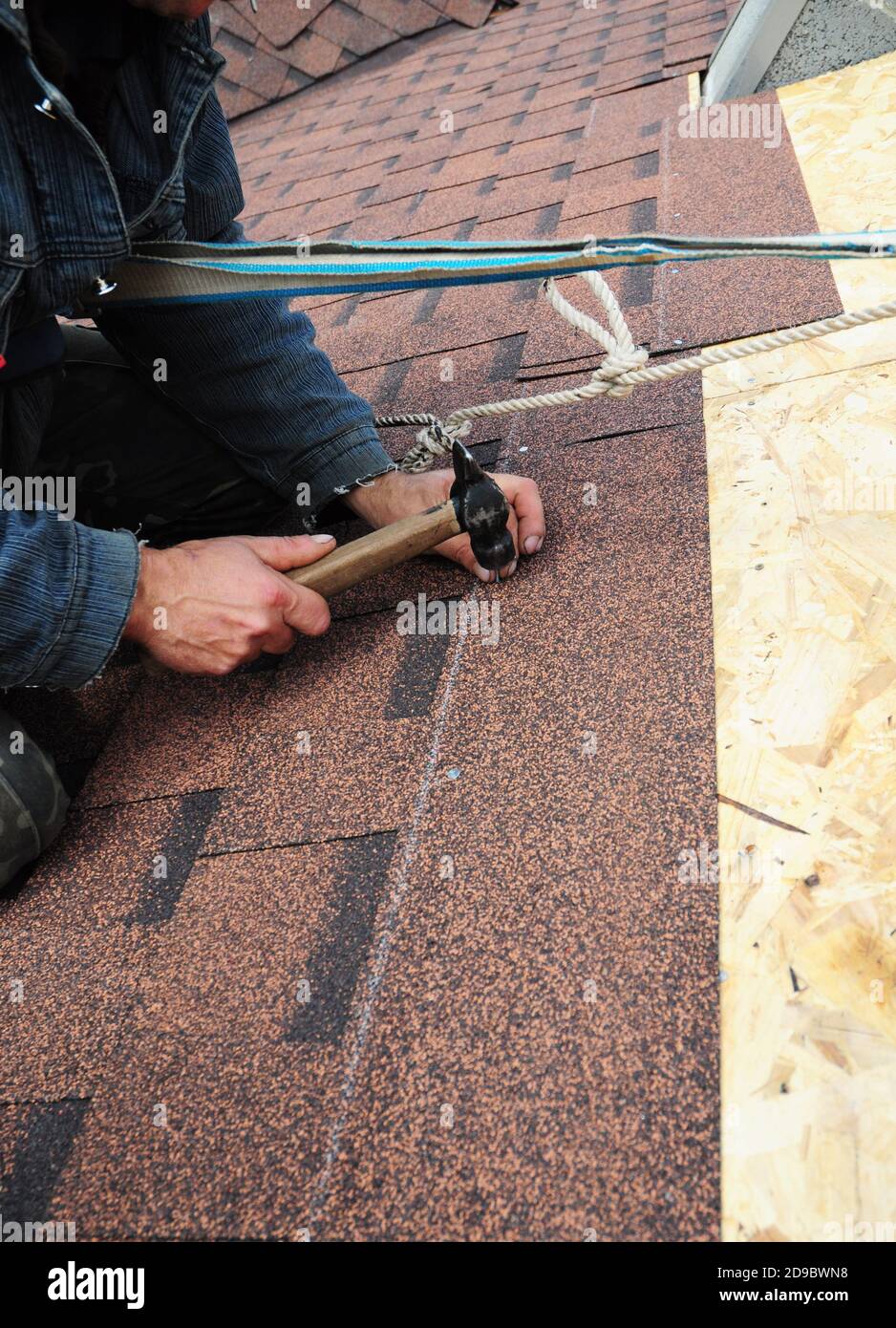 A roofing contractor is installing asphalt roofing shingles on the