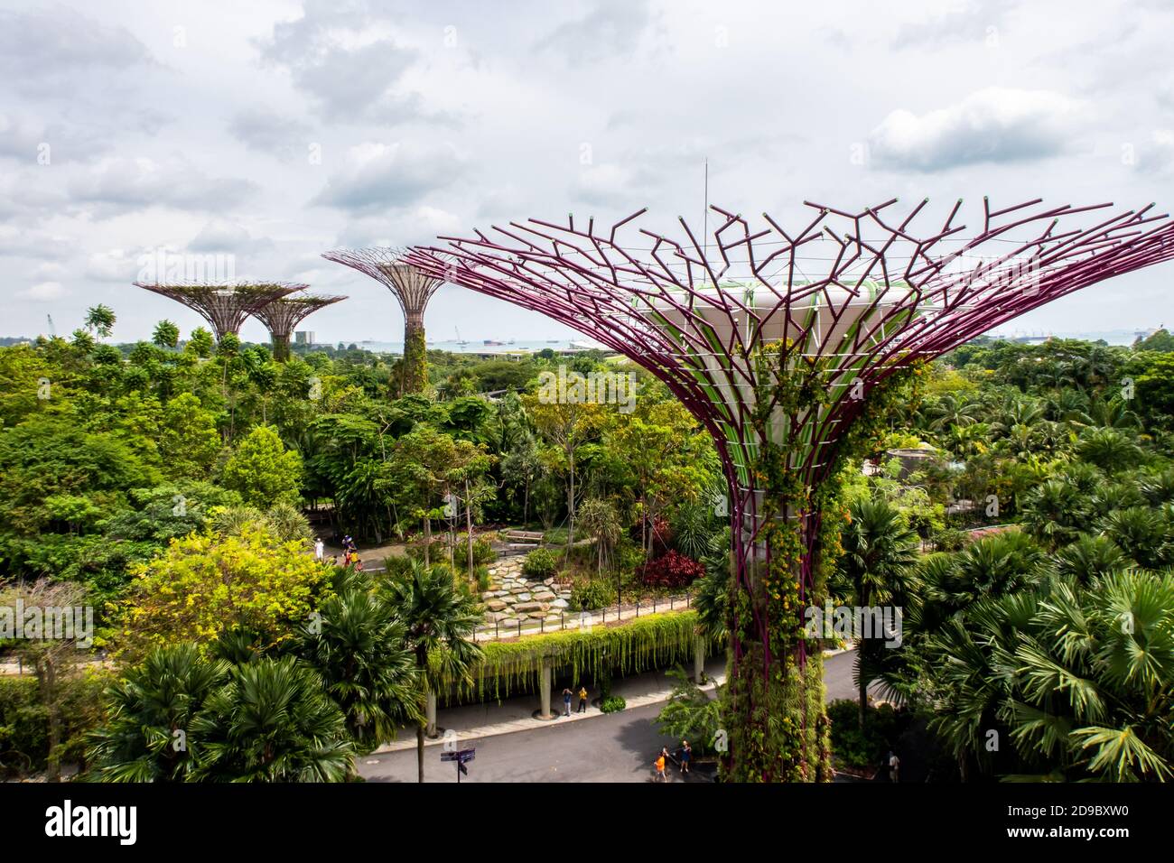 Singapore, 22/01/19. Landscape view of Gardens by the Bay park with Supertree Grove constructions and green trees and plants below, seen from OCBC Sky Stock Photo