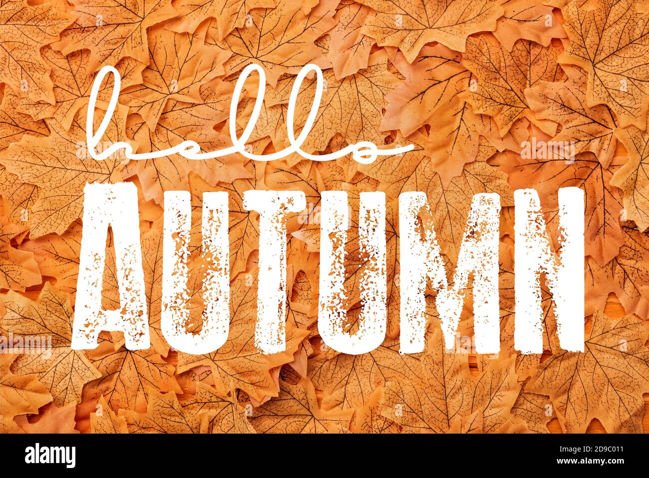 top view of golden leaves near hello autumn lettering Stock Photo