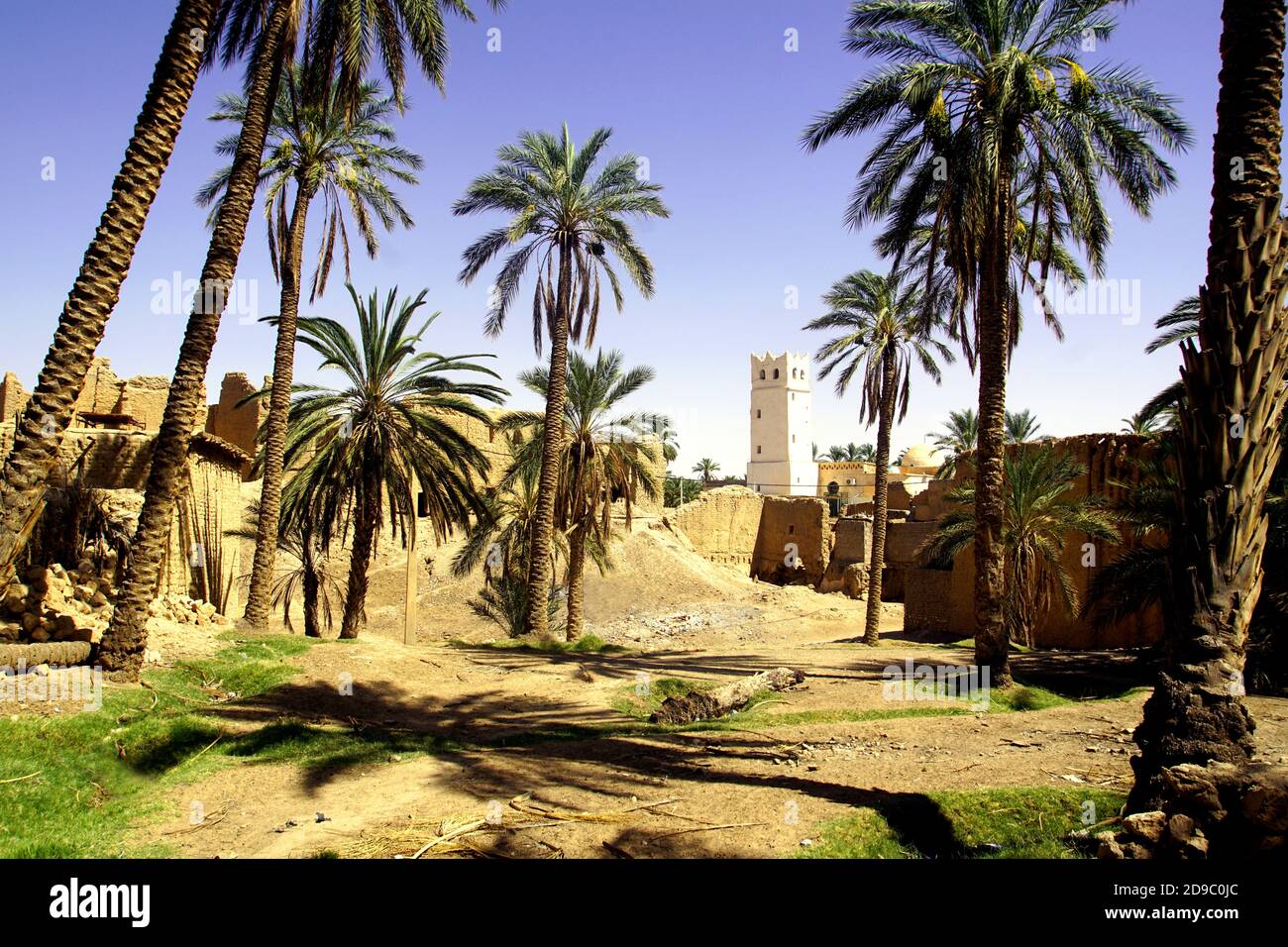 Okba The palm grove in Sidi Okba near Biskra, Algeria Stock Photo - Alamy