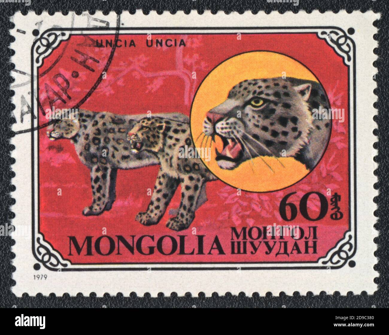 A stamp printed in Mongolia shows a Snow leopard (Uncia uncia), series Wild Cat, circa 1979 Stock Photo