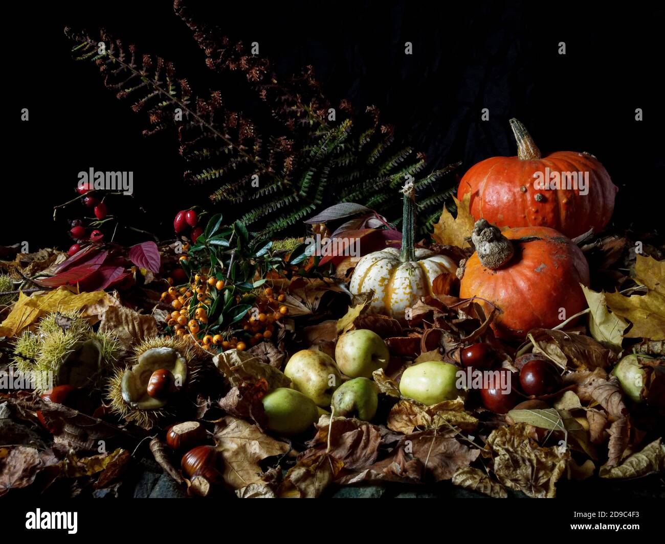chiaroscuro style autumn harvest Stock Photo