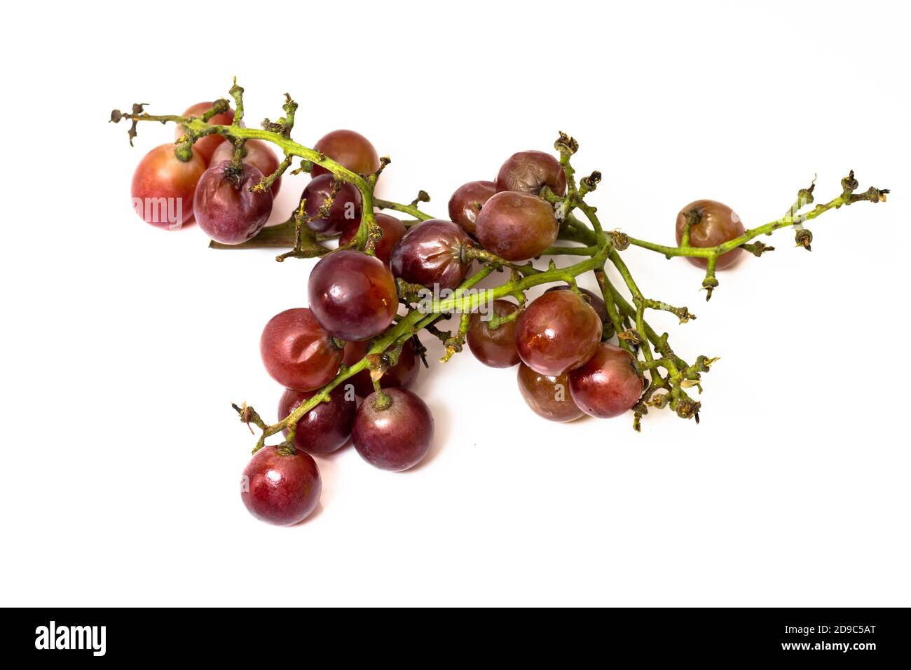 Rotten red grapes isolated on white background Stock Photo Alamy