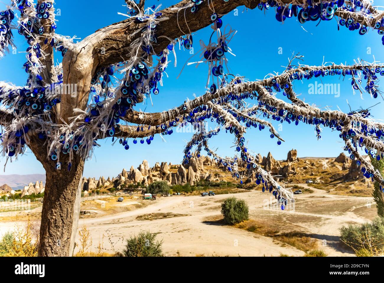 The branches of old tree decorated with evil eye amulets Nazars