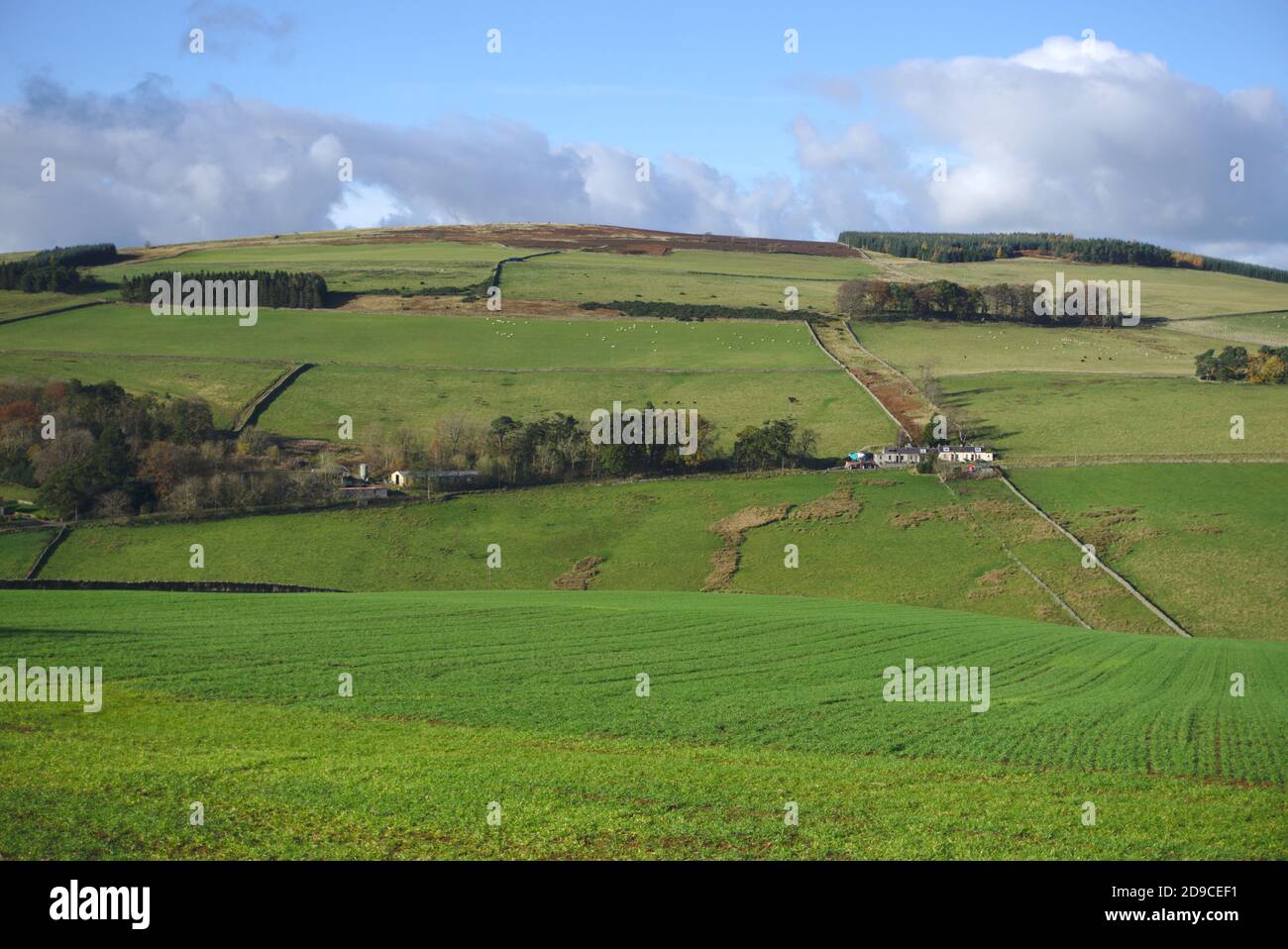 Farmland on the hill country between Stow of Wedale and Lauder, Scottish Borders, Scotland, UK. Stock Photo